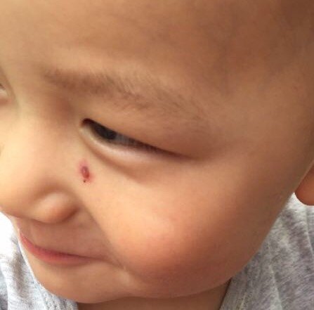 1601295601942699.jpg 微信图片_20200928191628.jpg