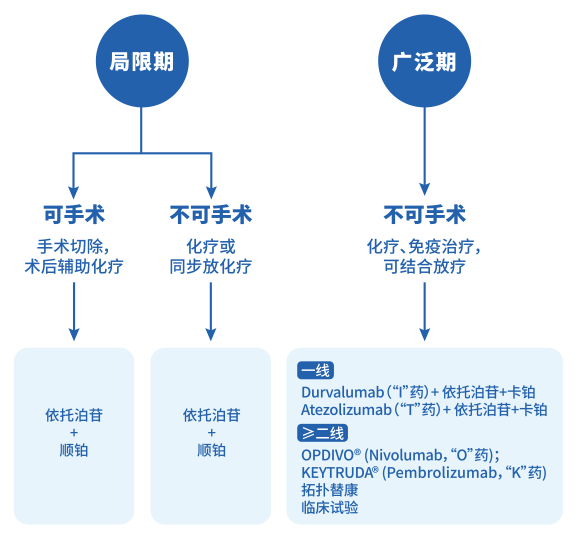 uIYBAF-1KMGAaZx4AADomKPE01Q286.png?_ms_=cb86