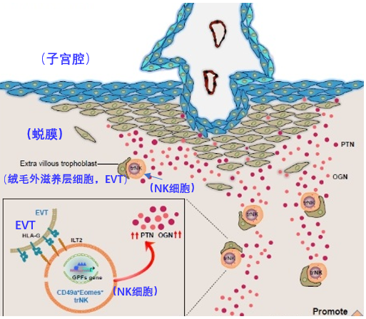 微信图片_20210304141615.png