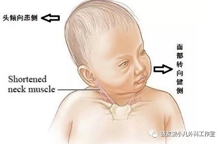 暂无