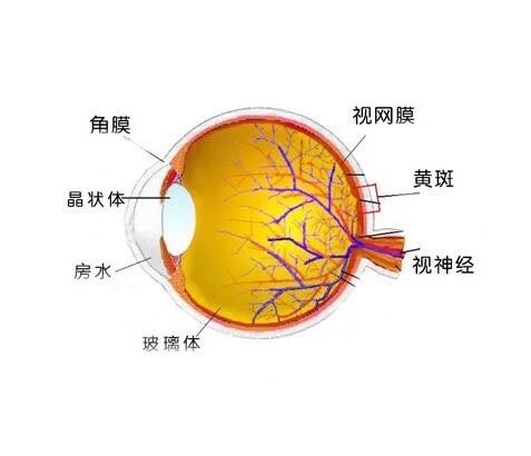 圖文圖片