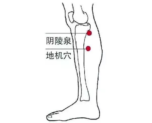 祛溼,治各種炎症,水腫:揉陰陵泉穴