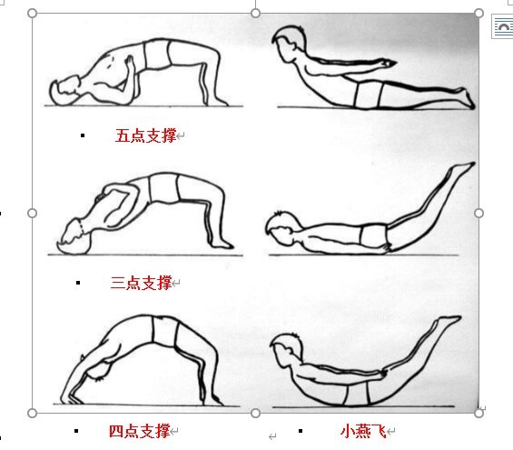 腰背肌功能锻炼jpg