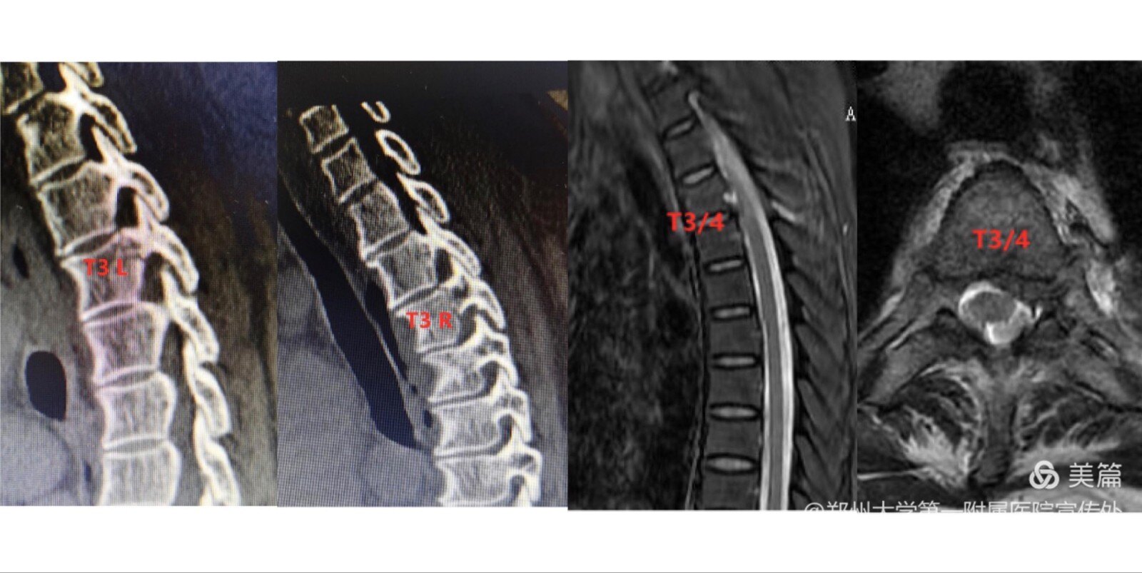 1615556757216071.jpg 微信图片_20210312214030.jpg