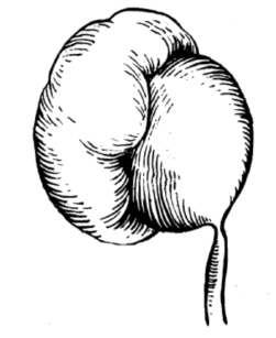 1609165439710433.png 图片1.png