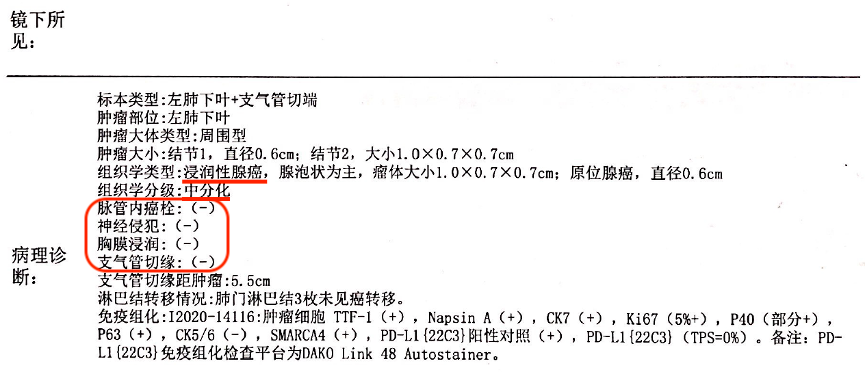 肺結節術後病理報告解讀