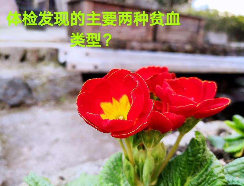 圖文圖片