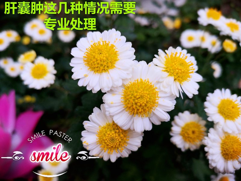 圖文圖片