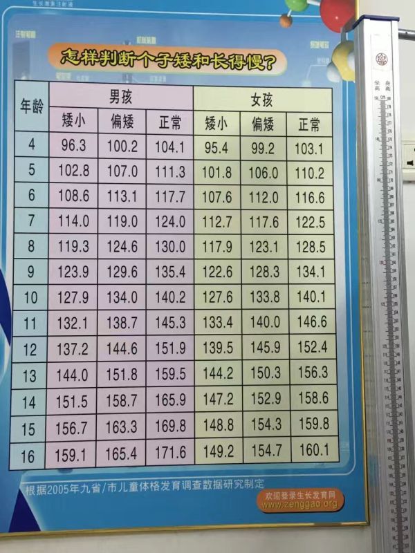 16岁男生标准身高图片