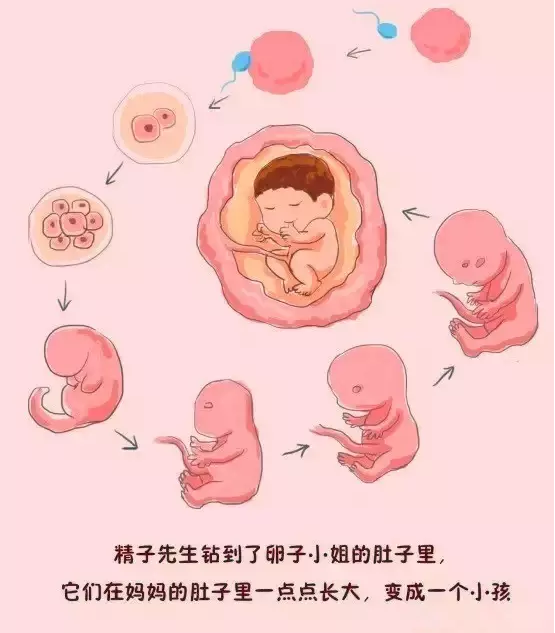 014岁的家长看看这才是最牛的性教育宝典