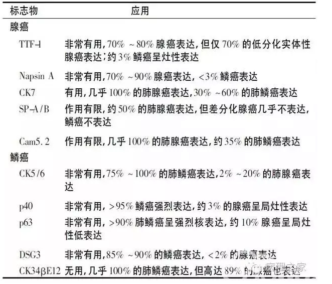 肺神经内分泌肿瘤常用免疫标志物(小细胞肺癌除外)肺nets占所有肺恶性