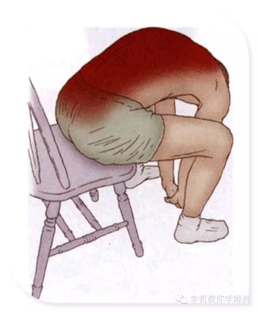 躯干(脊柱)肌肉拉伸 - 好大夫在线