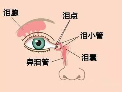 圖文圖片