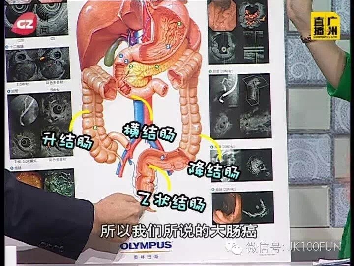 暂无