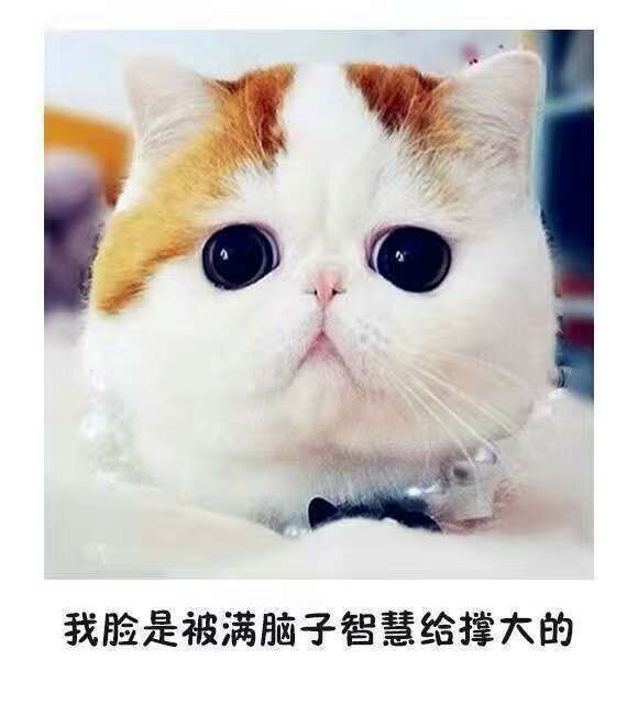 暂无