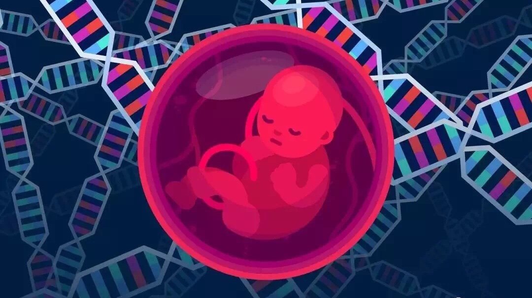 欢快!代孕自然怀孕"怀孕检测"-第2张图片-凯斯博客