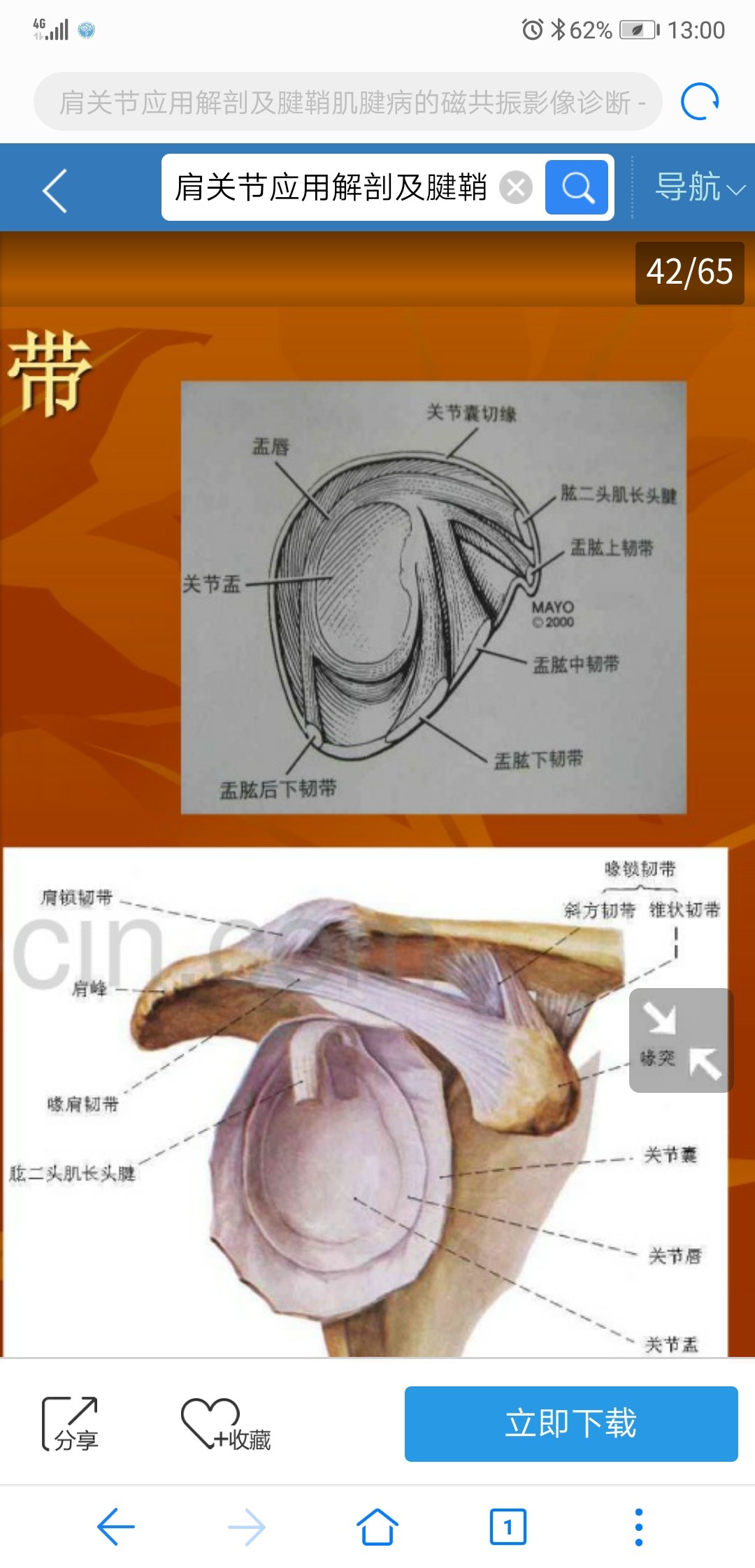 正确看待肩关节痛的原因和对手术的选择_肩周炎_疾病介绍_介绍 - 好