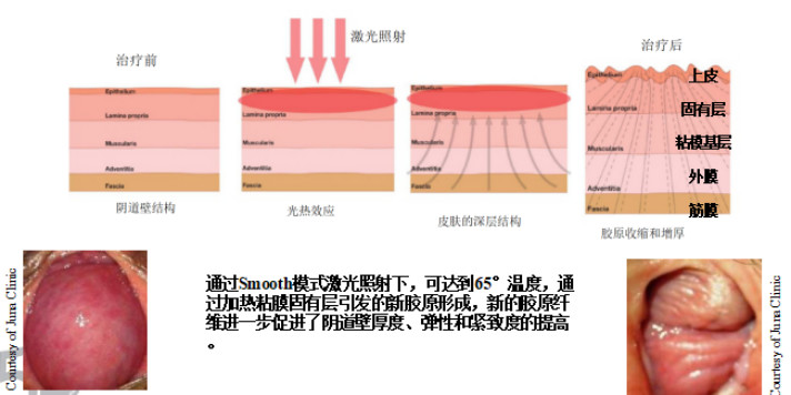 1555313749988043.png image.png