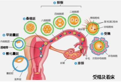 微信截图_20190820220123.png