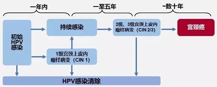 暂无