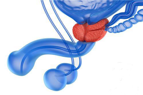 1584678798439890.jpg 3.jpg