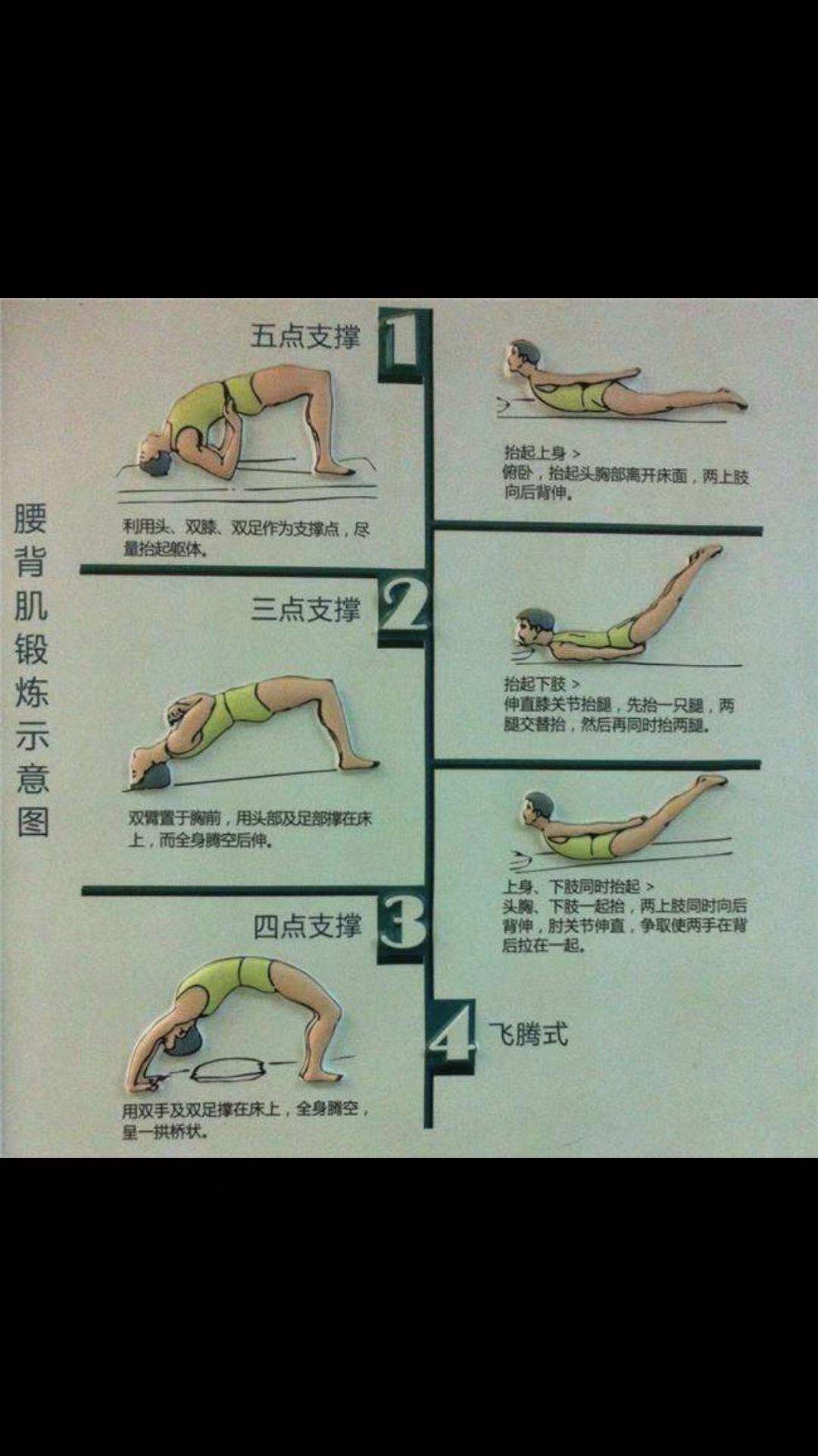 腰椎侧弯35锻炼方法图图片