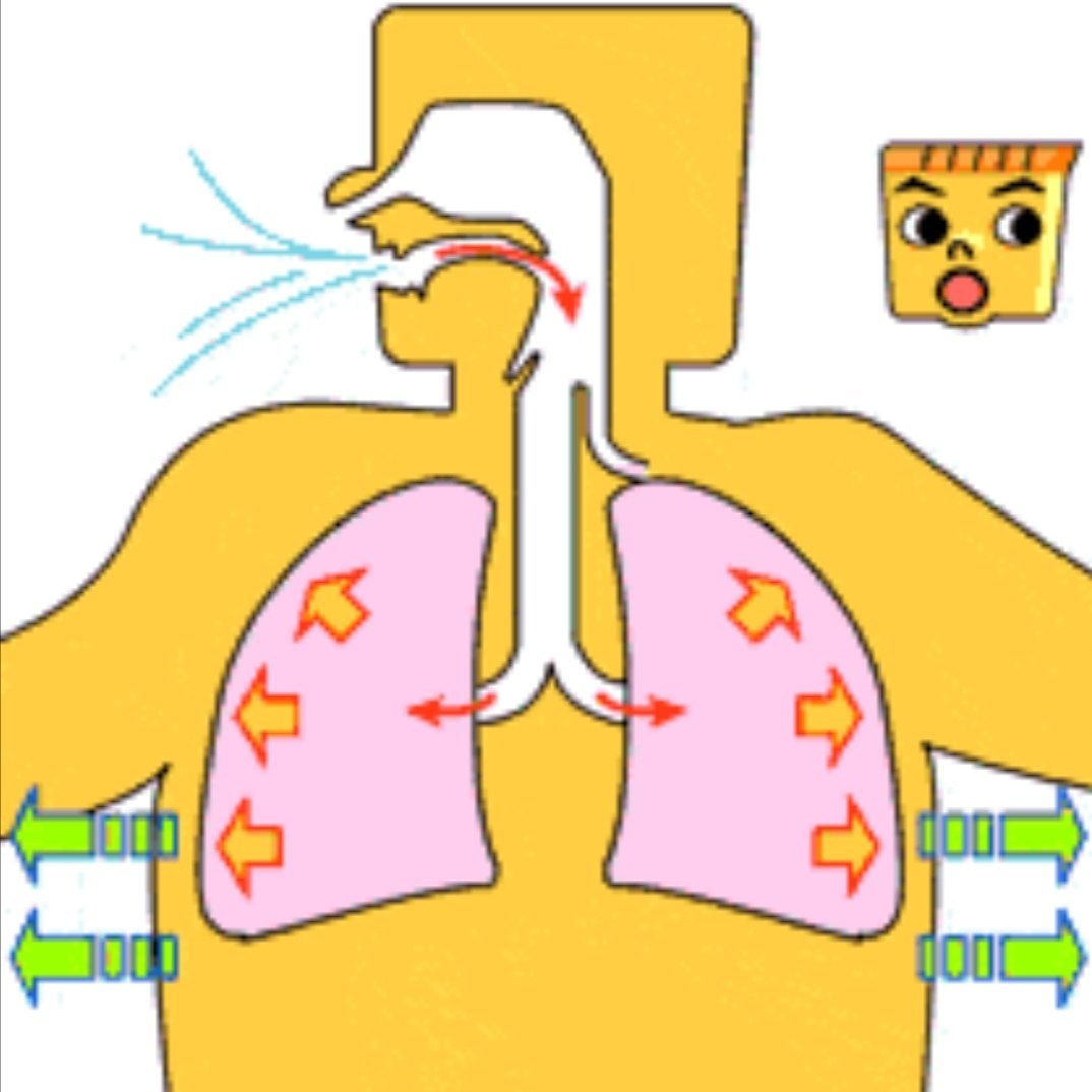 呼吸系统卡通图图片