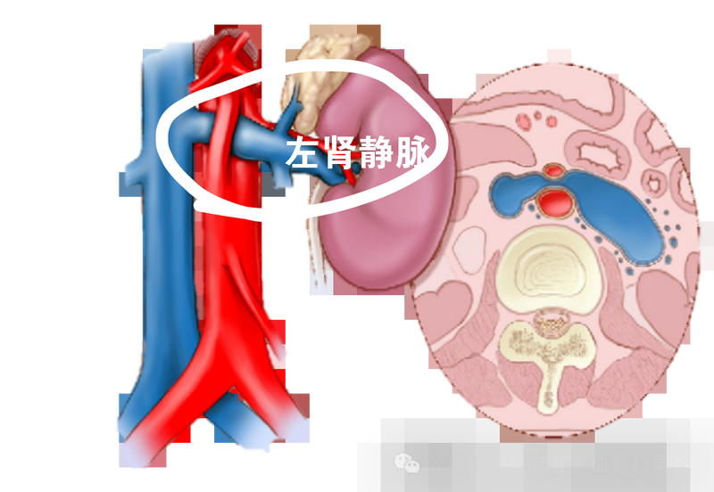 图文图片