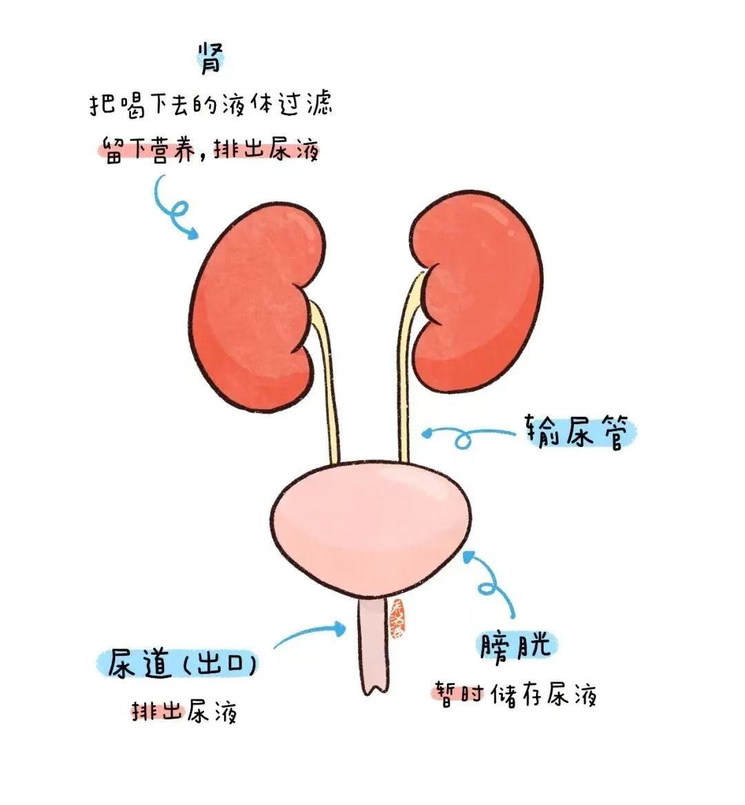 微信图片_20251103205302_35.jpg
