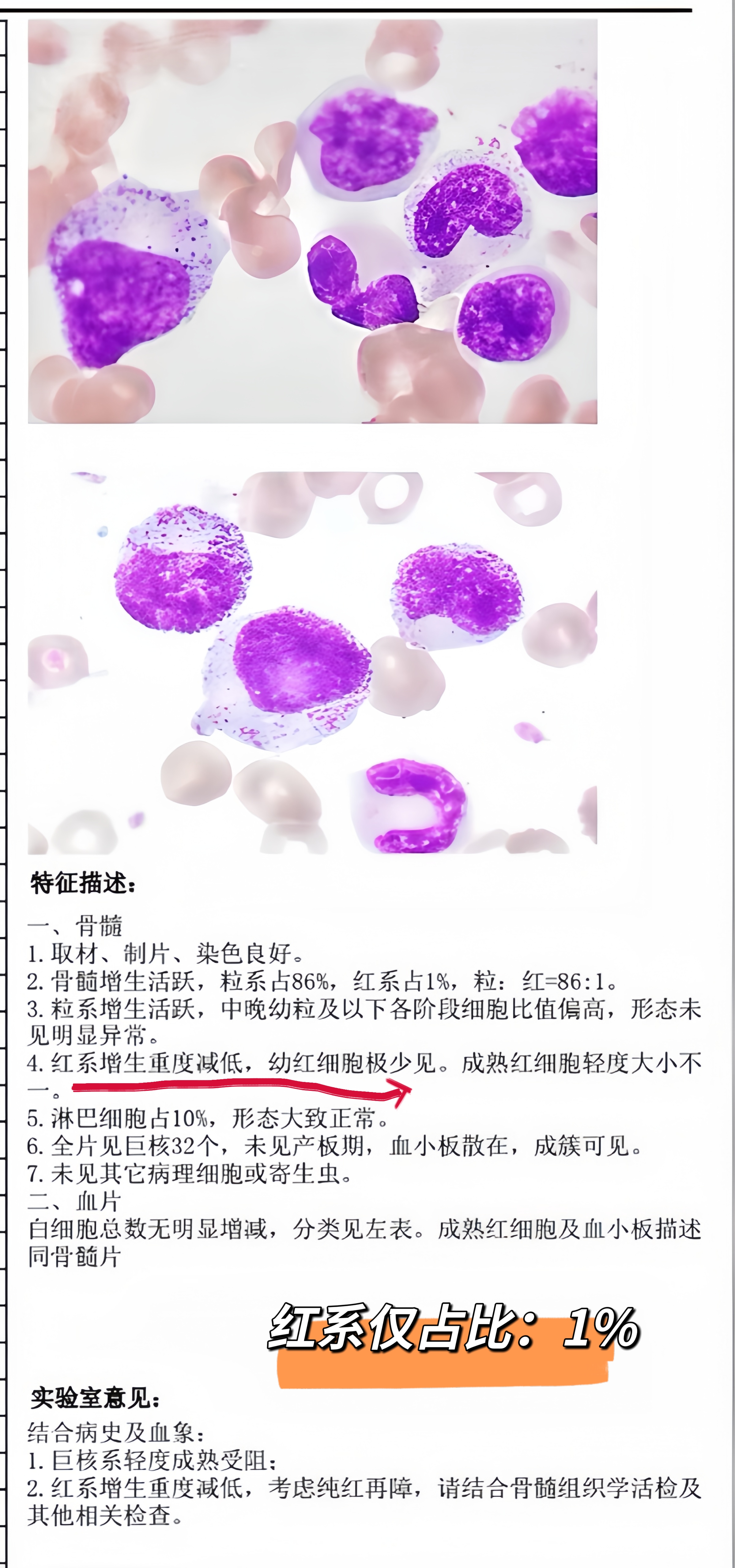 圖文圖片