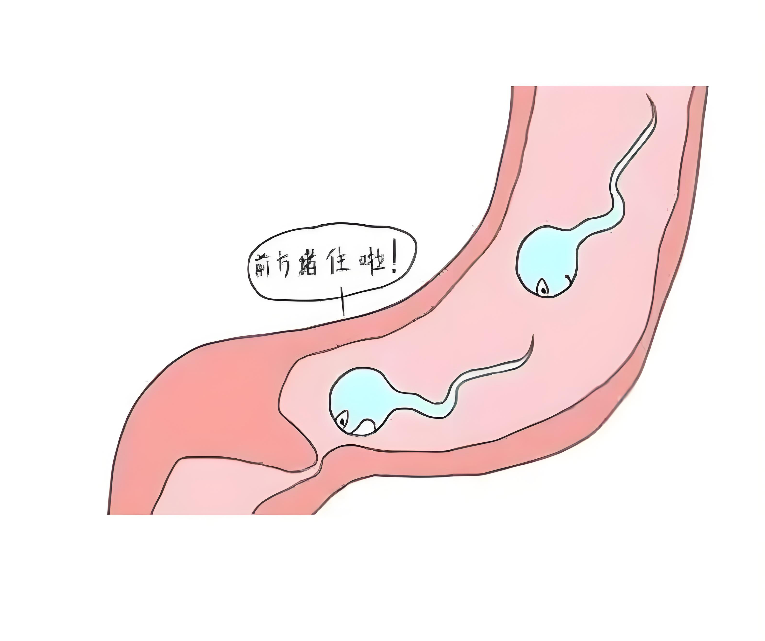 图文图片