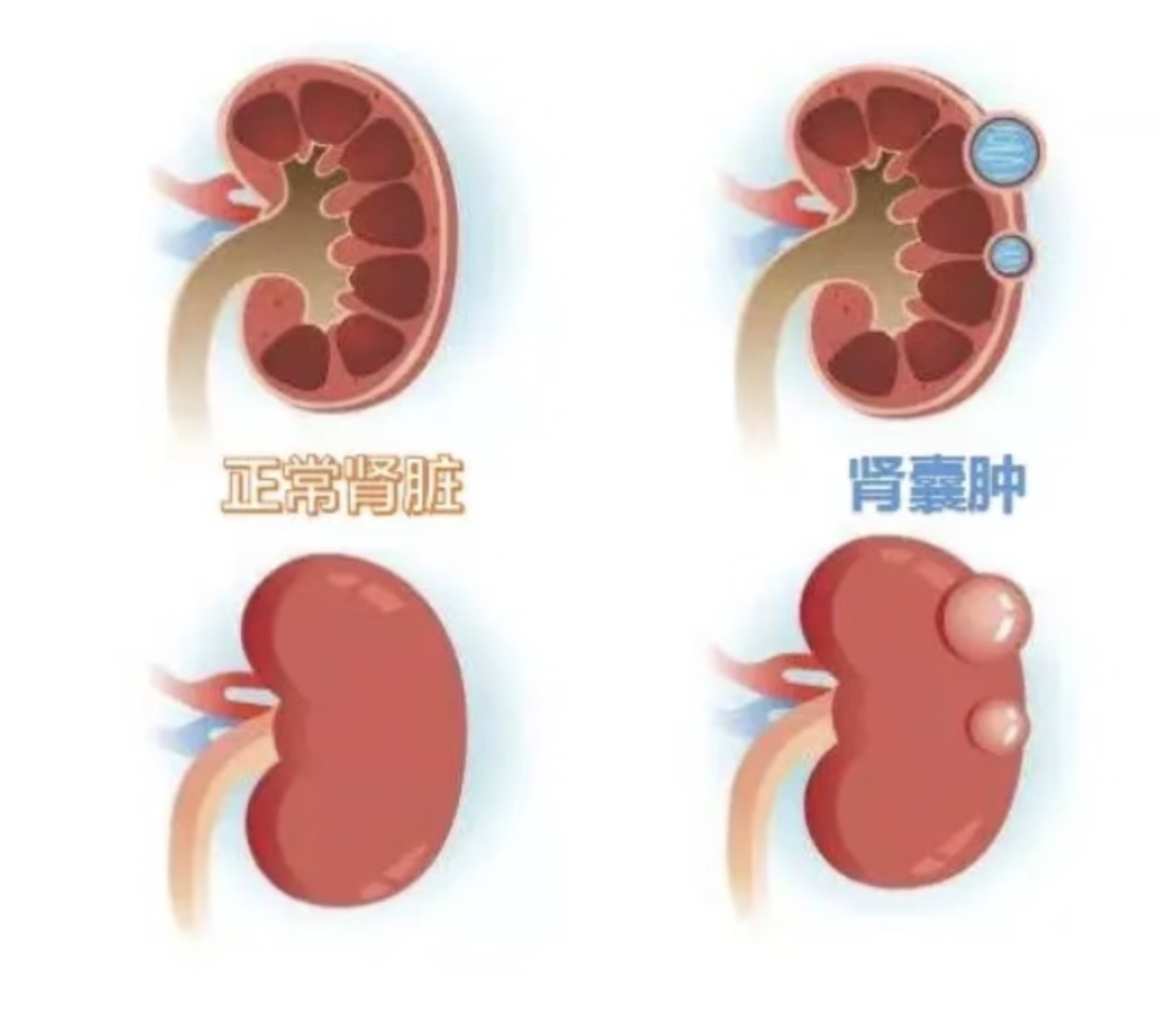 图文图片