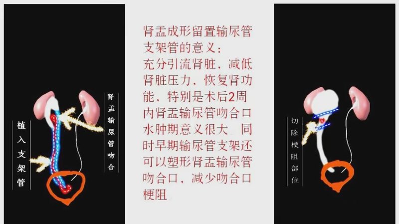 图文图片