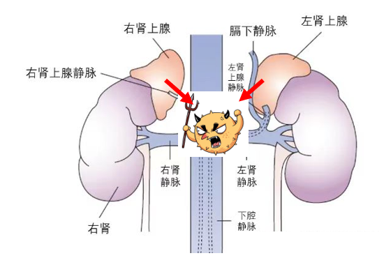 图文图片