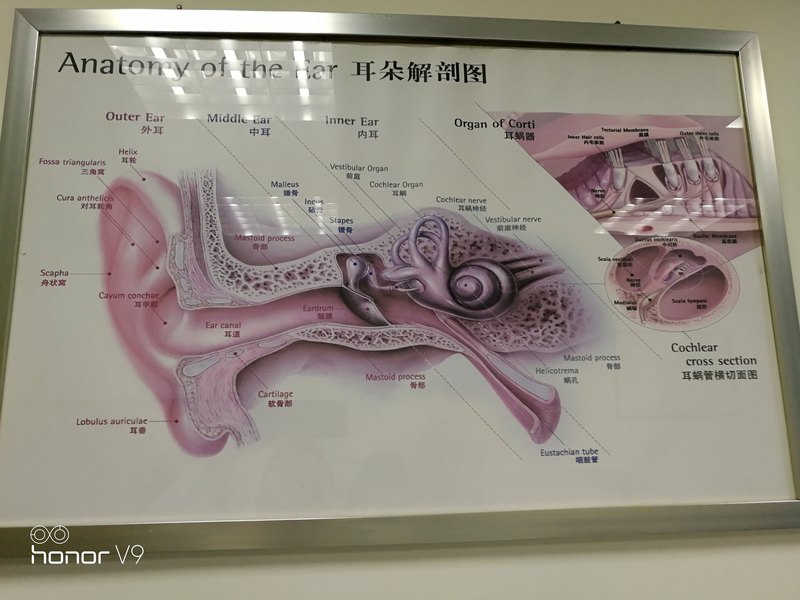 圖文圖片
