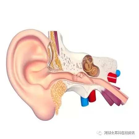 圖文圖片