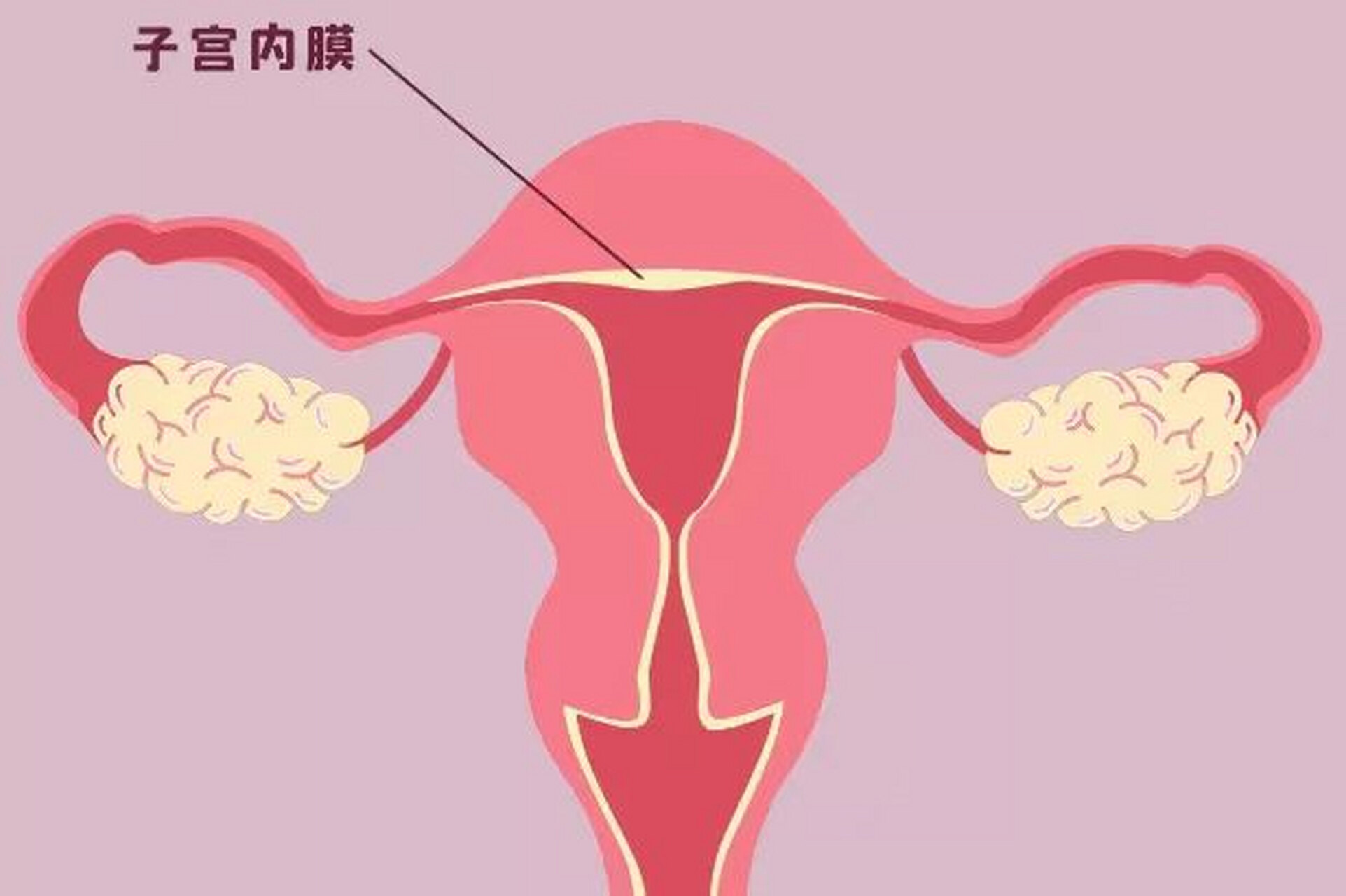 圖文圖片