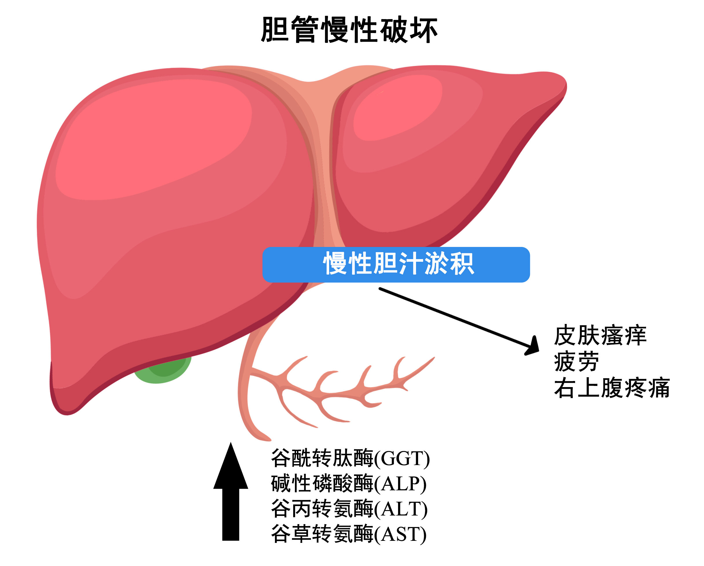 圖文圖片