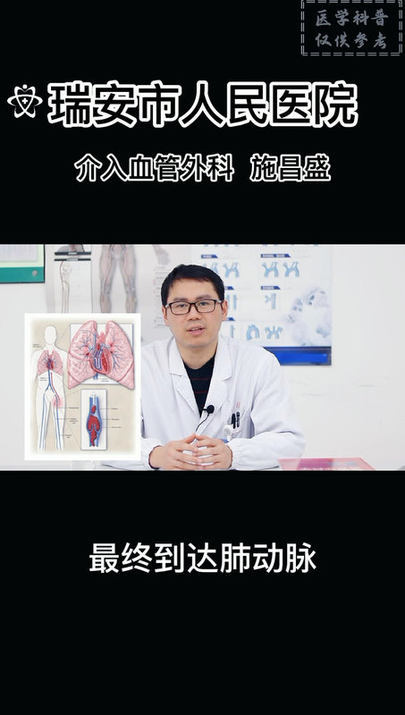 下肢血栓为什么会掉到肺里？