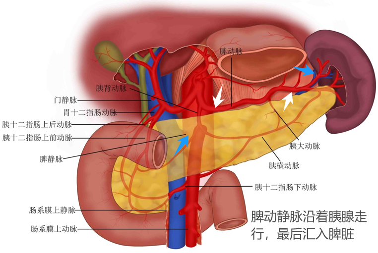 圖文圖片