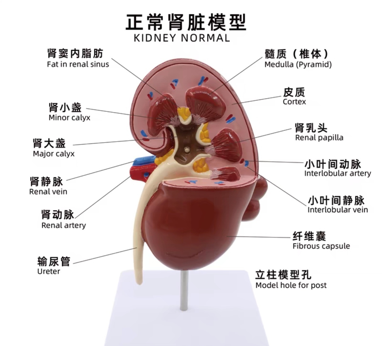 图文图片
