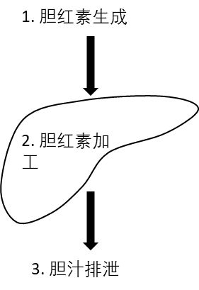 圖文圖片