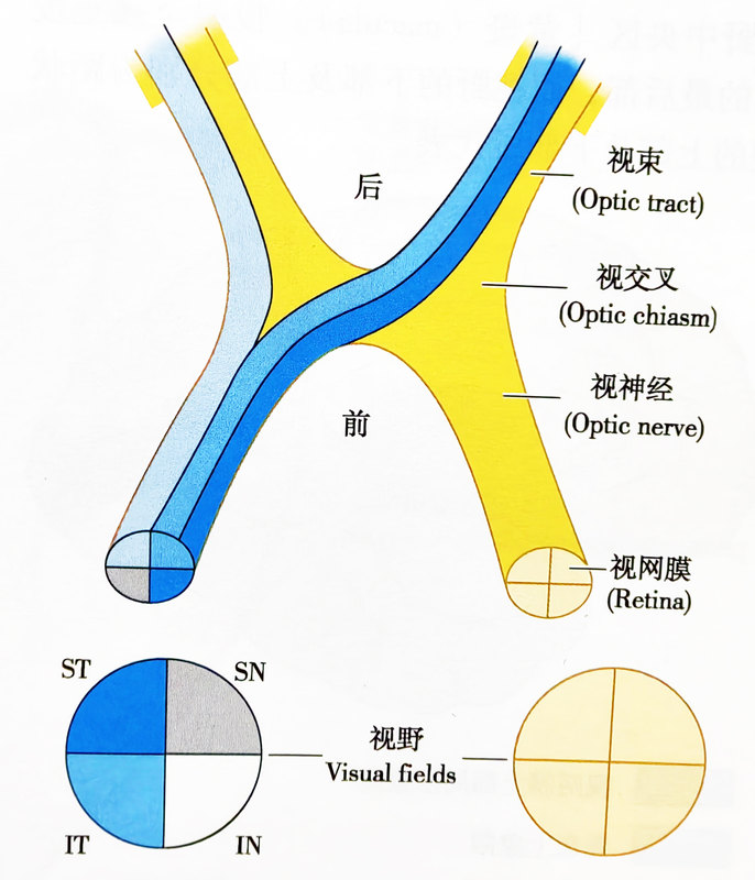 圖文圖片
