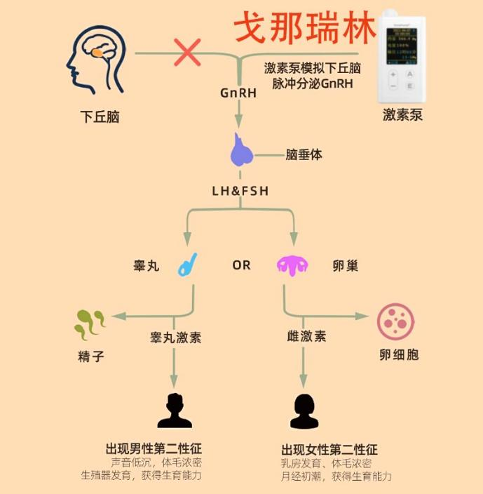 圖文圖片