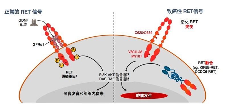 圖文圖片