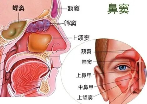 圖文圖片