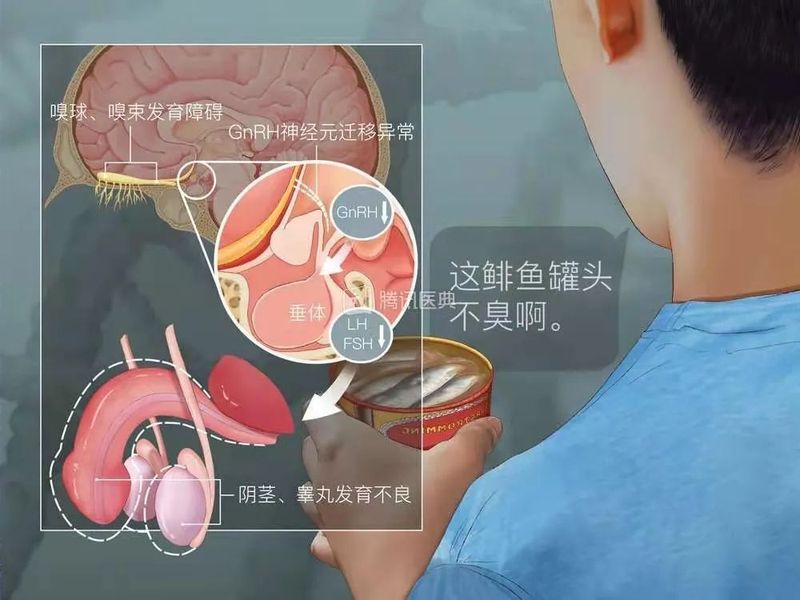 圖文圖片