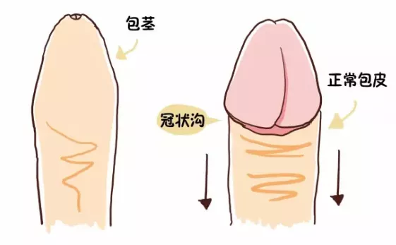 圖文圖片