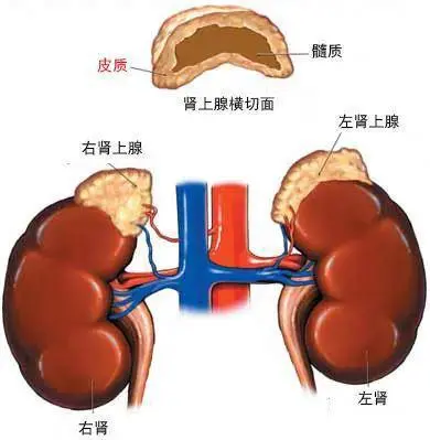 圖文圖片