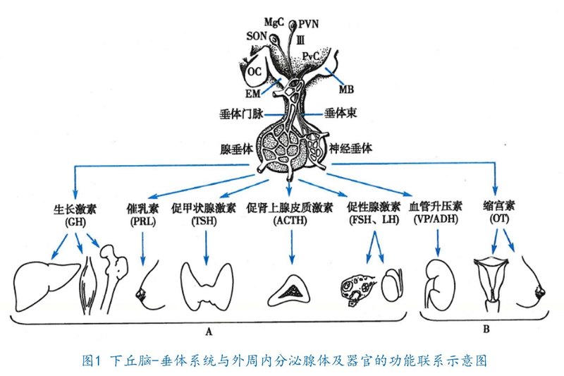 圖文圖片